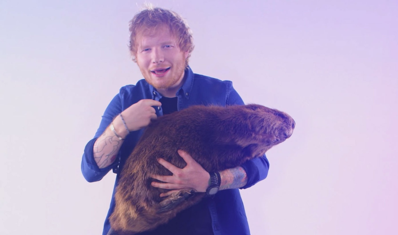 Ed Sheeran sera à la barre des Much Music Video Awards