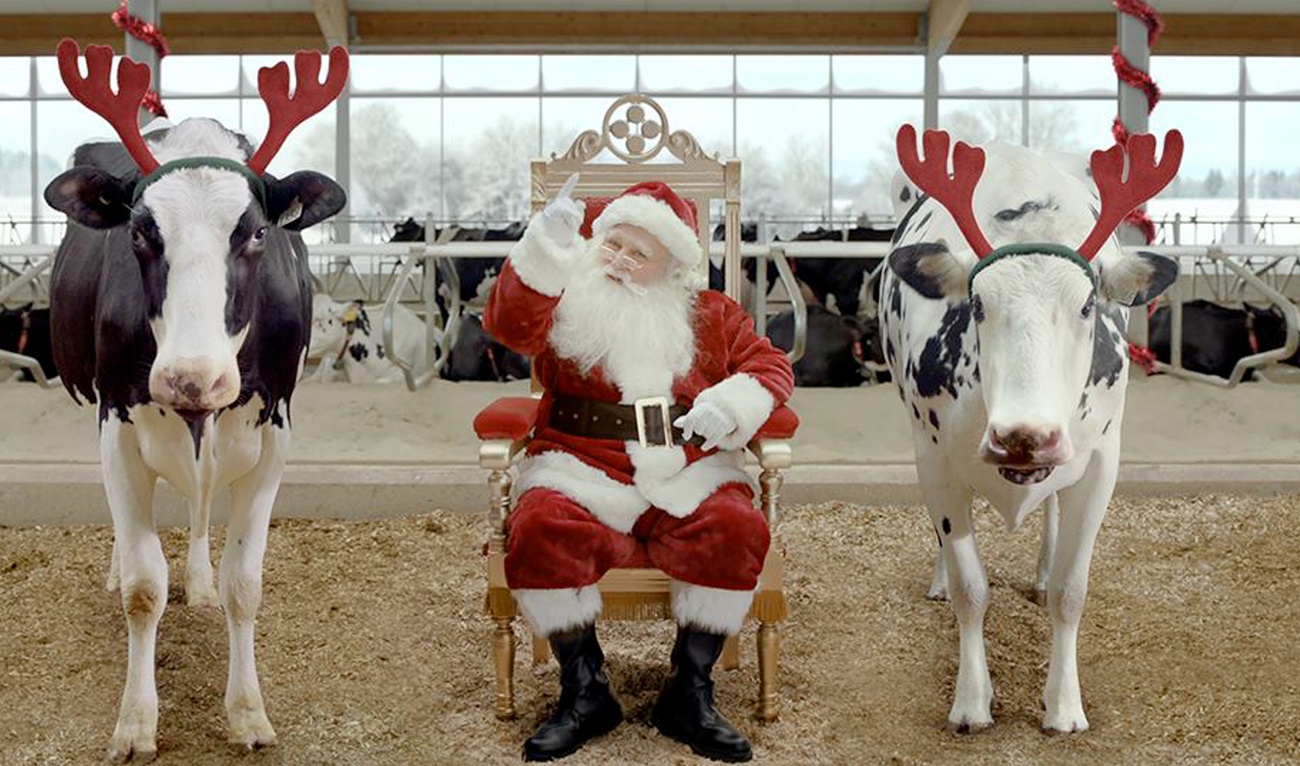 Le lait récidive avec une nouvelle publicité de Noël adorable