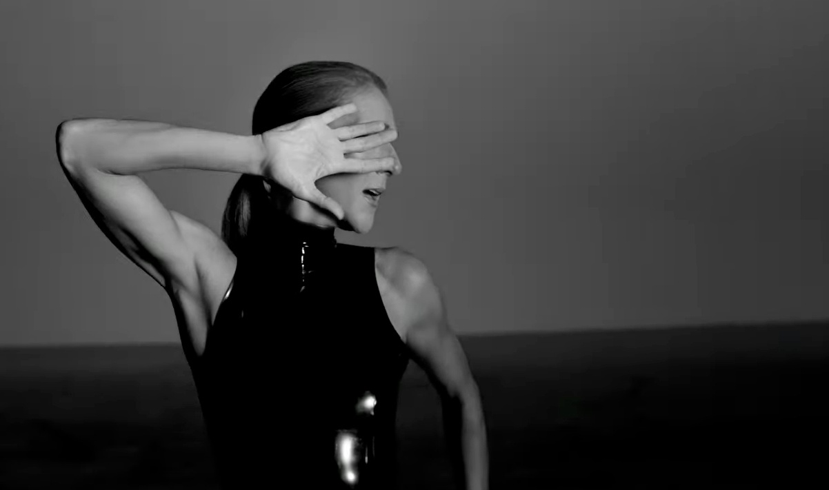Vidéoclip de la chanson « Courage »